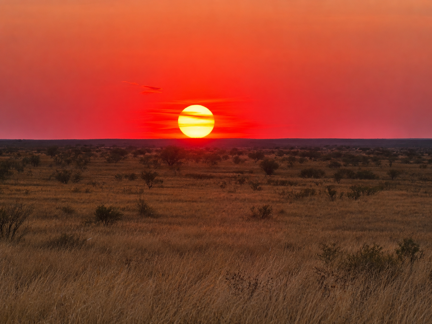 Confidential Data Center Substation – West Texas